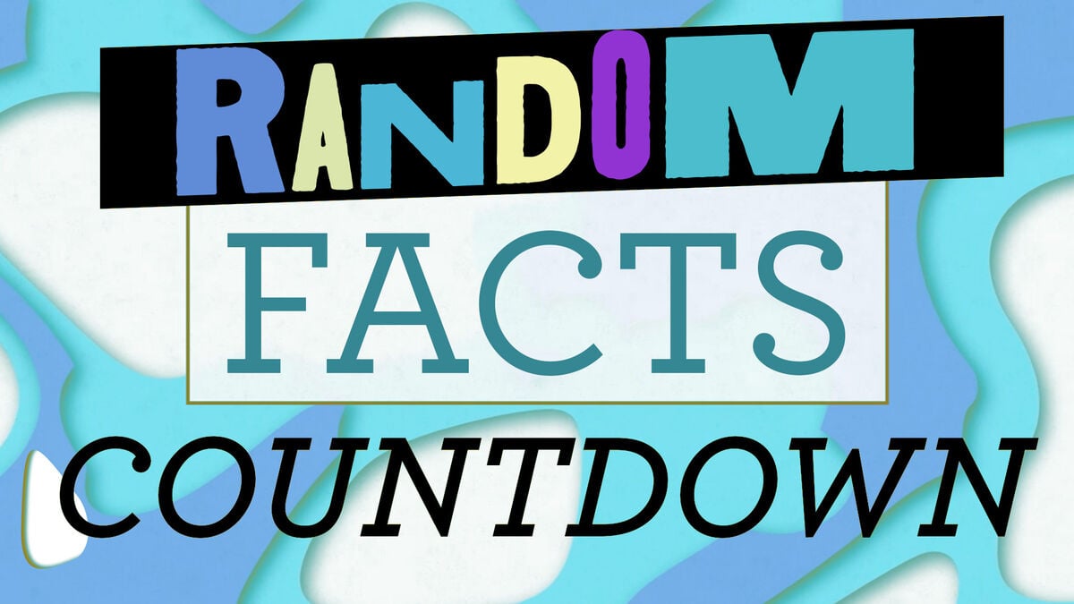 A Few Random Facts 5 Minute Countdown Video image number null
